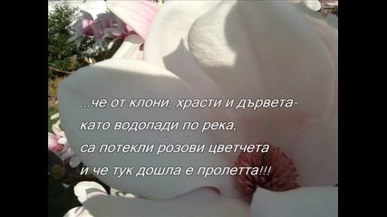 Розова Пролет 