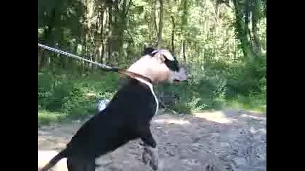 Max