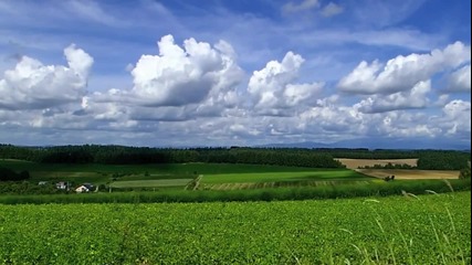 Цветна Градина