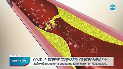 Над 6000 нови случая на COVID-19 у нас