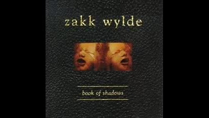 Zakk Wylde - Between Heaven And Hell