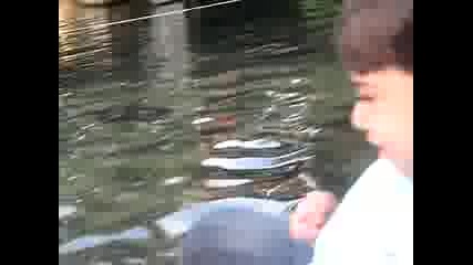 hrisi sas mama i tati na vodno kolelo vav velin grad
