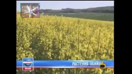 ! Генно модифицирани радиатори, Господари на ефира, 06.01.2010 