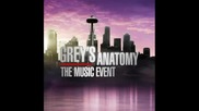 Greys Anatomy Music Event - Chasing Cars 