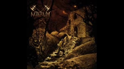 Aktarum - Rock n Troll