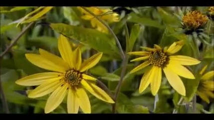 This Will Destroy You - The World Is Our
