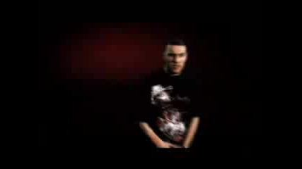 Fler - Mein Sound