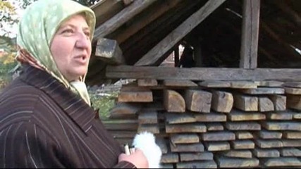 Мила моя… бабо
