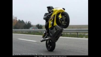 Qki Motori