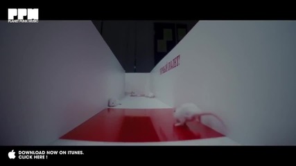 Smash & Vengerov - Only Forward (bobina Video Edit)