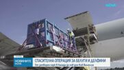 Две белуги и четири делфина пристигнаха в Испания след спасителна операция