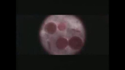 Underworld Trailer