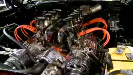 The Muscle Cars 2008