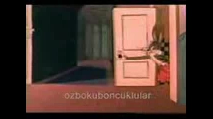 Haydo