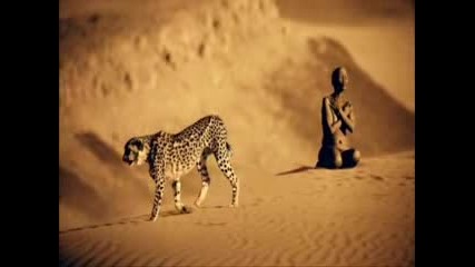 Mike Oldfield - Tubular Bells