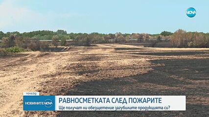 След пожарите: Ще получат ли обезщетение загубилите продукцията си?