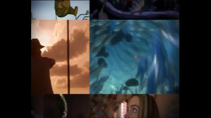 3.flv