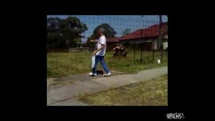 Пиян Пич Бара Електрическа Ограда !