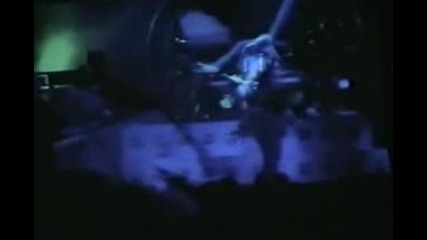Scorpions - Animal Magnetism - Florida 2003