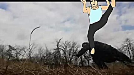 scene-14