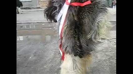 kykeriiii 