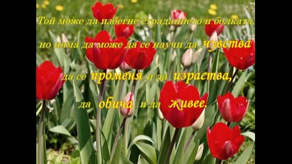 ...истински свободен