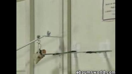 Верижна реакция