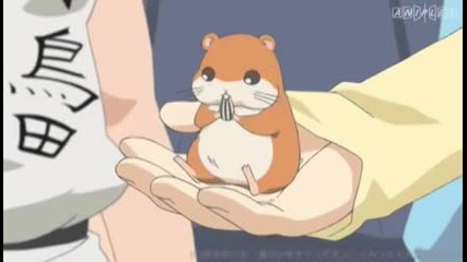 Mitsudomoe Anime Trailer