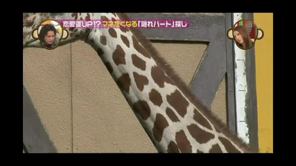 Kat-tun - No Zettai Manetakunaru Tv ep5