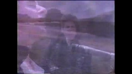 Venetians - Bitter Tears