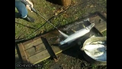 Как бързо да почистим риба-по руски!