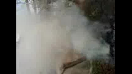 Димка От Сухи Листа 2