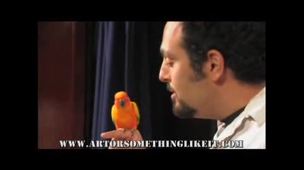 Beatboxing Parrot 