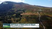 Витоша отвисоко и пеша: С парапланер над планината и кои са пътеките към Черни връх