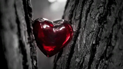 Whitesnake - Looking For Love