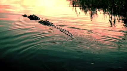 Flo Rida - Wild Ones ft Sia [official Video] -
