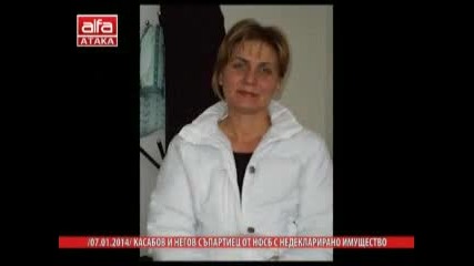 Сметната палата за имотните декларации на политици