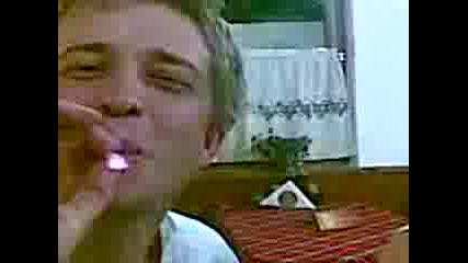 Sarbia