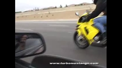Turbo Mustang Gt vs. 2003 Cbr 600rr (w.slip On Exhaust) 