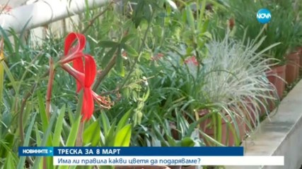 ТРЕСКА ЗА 8-И МАРТ: Има ли правила какви цветя да подаряваме?