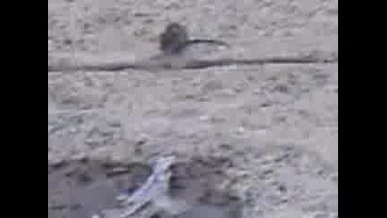 Mov00024.3gp