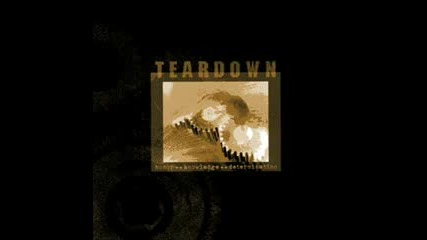 Teardown - You Never Had It 