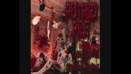 Putrid Pile - Drenched In Gasoline