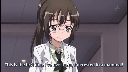 boku ha tomodachi ga sukunai episode 4 bg sub