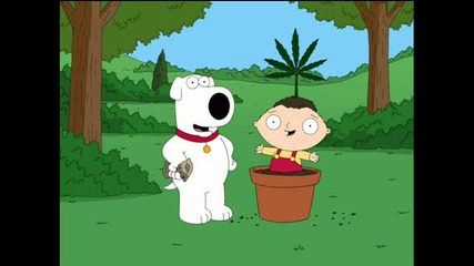 Family Guy - Bag of Weed