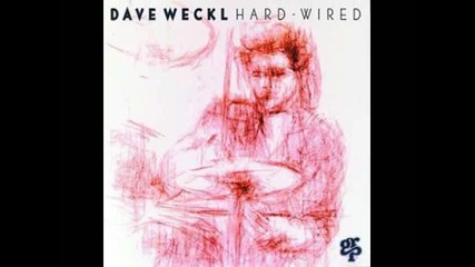 Dave Weckl In The Pocket 1994