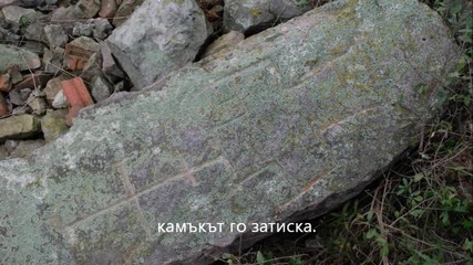 Сталево1