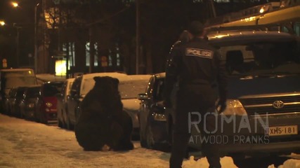 Мечка напада хора! Смях