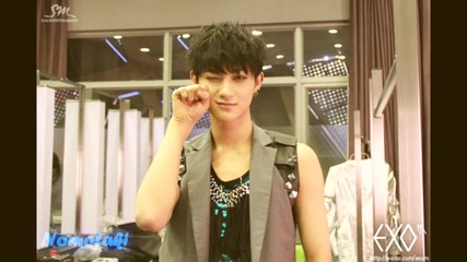 Tao - More than love