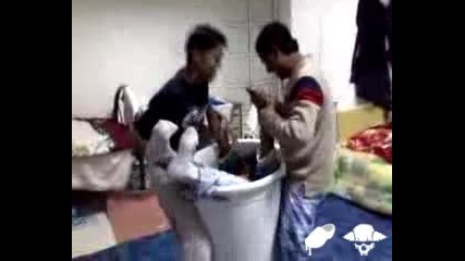 Този как се насади